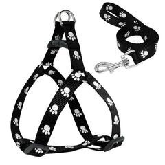Pawfect Prints Leash & Harness Combo