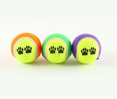 Outdoor Dog Exercise Throw Toy