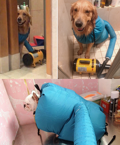 Cozy Pet QuickDry Station