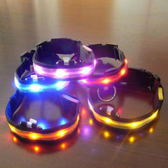 Twilight Tails LED Collar