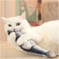 Purrfect Play Fish