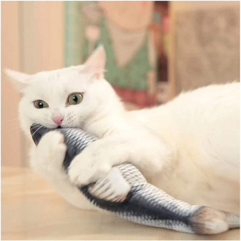 Purrfect Play Fish
