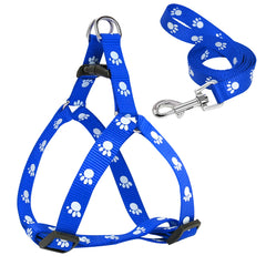 Pawfect Prints Leash & Harness Combo