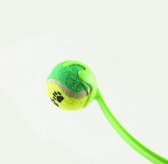 Outdoor Dog Exercise Throw Toy