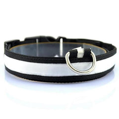 Twilight Tails LED Collar