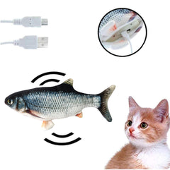 Purrfect Play Fish