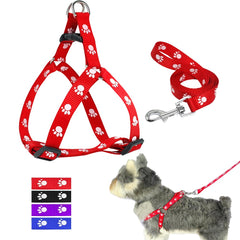 Pawfect Prints Leash & Harness Combo