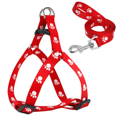 Pawfect Prints Leash & Harness Combo