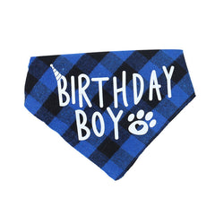 Pawfect Party Pup Decor Kit