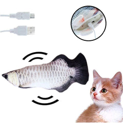 Purrfect Play Fish