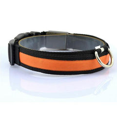 Twilight Tails LED Collar