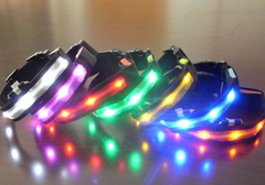 Twilight Tails LED Collar