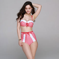 Plus Size Fashionable Checkered Bikini