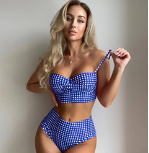 Plus Size Fashionable Checkered Bikini