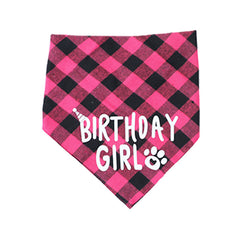 Pawfect Party Pup Decor Kit