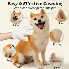Pet Cleaning Gloves & Wipes — Gentle Grooming Essentials for Dogs & Cats
