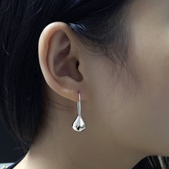 Elegant Tear Drop Silver Earrings