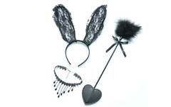 Rabbit Ear Headband, Teasing Wand, Collar Set