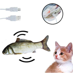 Purrfect Play Fish