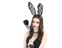 Rabbit Ear Headband, Teasing Wand, Collar Set